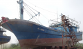Thông báo đấu giá tàu cá